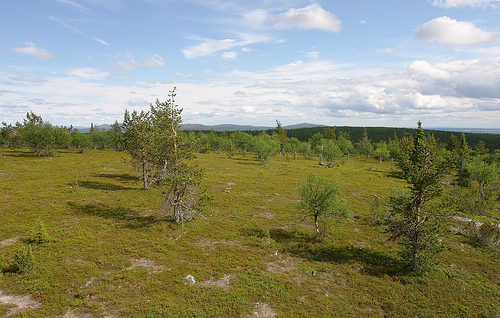 Urho Kekkonen National Park